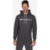 CHAMPION HOODED SWEATSHIRT M