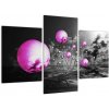 Abstraktný obraz - fialové gule (Obraz 90x60cm)