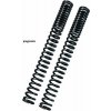BITUBO Fork springs kit BITUBO Kolobežka (+1 Lt. Oil)