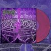 LP Civerous: Maze Envy CLR | LTD