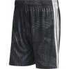 adidas | Tiro 26 Competition Goalkeeper | čierna| L