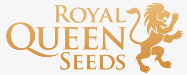 Royal Queen Seeds Royal Dwarf Auto 0 % THC 5 ks Balenie: 3 ks