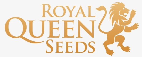 Royal Queen Seeds Royal Gorilla Automatic Balenie: 1 ks 0% THC