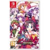 Touhou Kobuto 5: Burst Battle