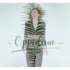 Filipová Lenka - Oppidum [CD]