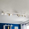Luminex Stropné bodové svetlá Rondo biele/zlaté 8-plameňové - 5159