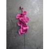 lacne-dekoracie.sk Vetvička Orchidea 212A 6 kvetov 60cm cyklamen