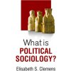 What is Political Sociology?