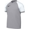 Nike | Dri-FIT Trophy VI Kids | šedá| XS(122-128cm)