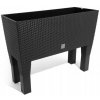 Prosperplast RATO CASE HIGH Truhlík 80x33x65cm ratan antracit DRTC800Ha
