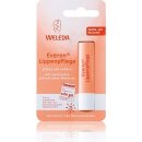 Weleda Tyčinka na pery Everon SPF4 4,8 g