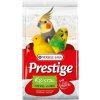 VL Shell Sand Kristal - Biely piesok s anízom 5 kg5 kg Versele Laga pre vtáctvo