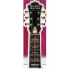 Blues Guitar Chord Deck (David Bradley)(Brožovaná)