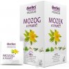 HERBEX Premium MOZOG A PAMÄŤ bylinná zmes, čaj 20x1,5 g (30 g)