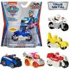 Spin Master Paw Patrol True Metal Rubble
