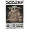 Plagát, Obraz - Star Wars: The Mandalorian - Wanted The Child (Baby Yoda), (61 x 91,5 cm)