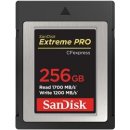 Pamäťová karta SanDisk 256GB SDCFE-256G-GN4NN