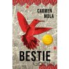 Bestie - Carmen Mola