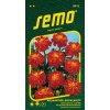 Aksamietnica rozl. Carmen SEMO 9513