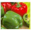 Paprika Yolo Wonder - Capsicum annuum - Semiačka - 8 ks