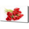 Foto obraz na plátne Červene tulipány 100x50 cm