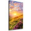 Vertikálny foto obraz na plátne Západ slnka hory 50x100 cm