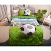 Posteľné prádlo Aaryans 3D Futbal III. 140x200/70x90cm