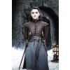 Plagát, Obraz - Game of Thrones - Arya Stark, 26.7 × 40 cm