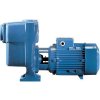 Kalové samonasávacie čerpadlo Calpeda AM50-125 C/E 0.75kW
