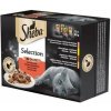 Sheba Selection multipack 10+2 šťavnatý výběr ve šťávě 12x85 g