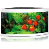 Juwel Trigon LED 350 akvárium set rohový biely 123x87x65 cm, 350 l