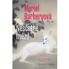 Haru Ueno (CZ): Nesčetně hvězd - Muriel Barbery - online doručenie