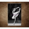 Obraz - Baletka 90x60cm