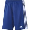 Adidas Squadra 21 M