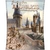Carbotex Detská deka Harry Potter Hogwarts