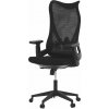 Kancelárske kreslo HOMEPRO Gaius čierne (KA-S248BK)