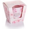 BARTEK Cherry Blossom Sakura Pink, vonná sviečka 115 g