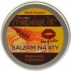 Ochranný balzam na pery Propolis HERB EXTRACT 25 g