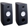 Acoustique Quality Canto 3 - Black Ash