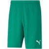 Puma TEAMRISE SHORT