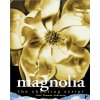 Magnolia (Paul Thomas Anderson)(Brožovaná)