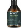 NIAMH DANDY Beard And Hair Shampoo 300ml - Šampón na bradu, fúzy a vlasy