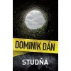 Studňa