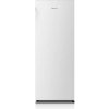 Hisense RL313D4AWE