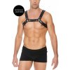 Kožený harness Ouch! Buckle Bulldog čierny S/M, pánsky kožený postroj
