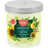 Sviečka Bolsius Floral Fusion Slnečnica a Citrus, vonná, 80/72 mm, v skle