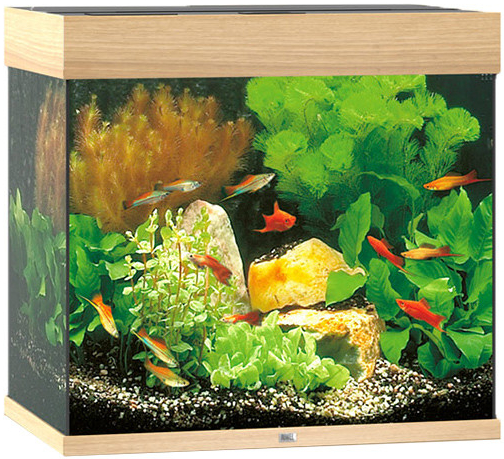 Juwel Lido LED 120 akvarijný set dub 61 x 41 x 58 cm