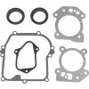 Sada tesnení motora Briggs & Stratton série 450E 500E 550E 550EX 575EX 600E 625E (OEM 595350 592640 590590)