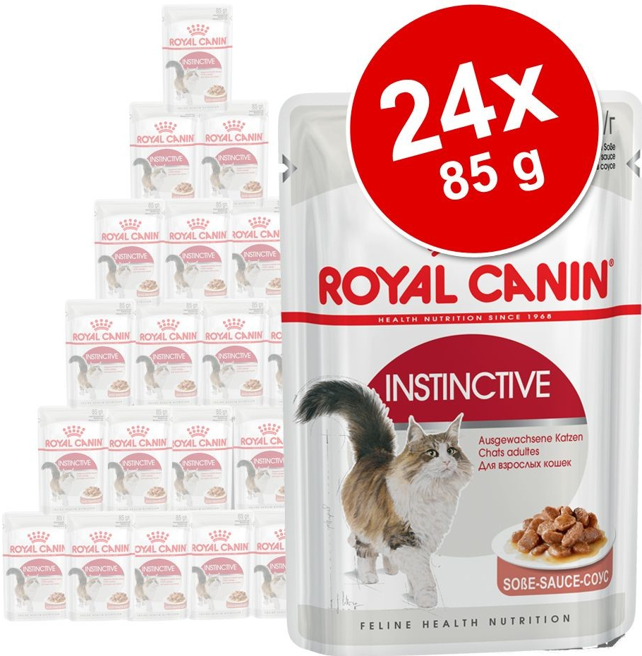 Royal Canin Ageing 12+ v omáčke 24 x 85 g