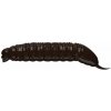 Libra Lures Goliath 3cm 15ks Brown 038 Libra Lures